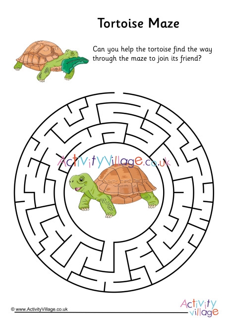 Tortoise Maze 2