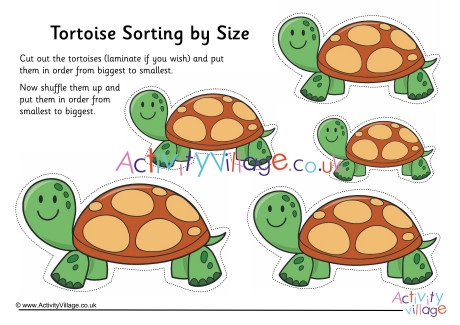 Tortoise Size Sorting