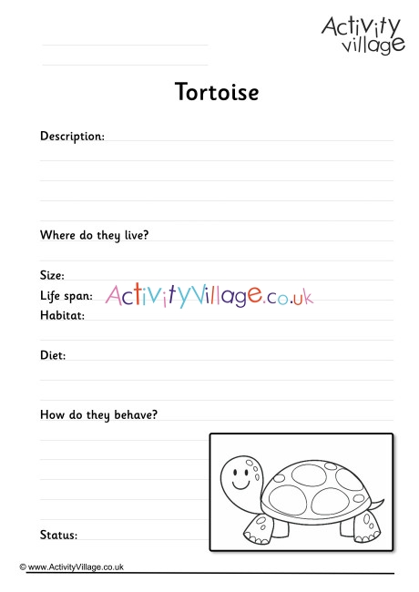 Tortoise Worksheet