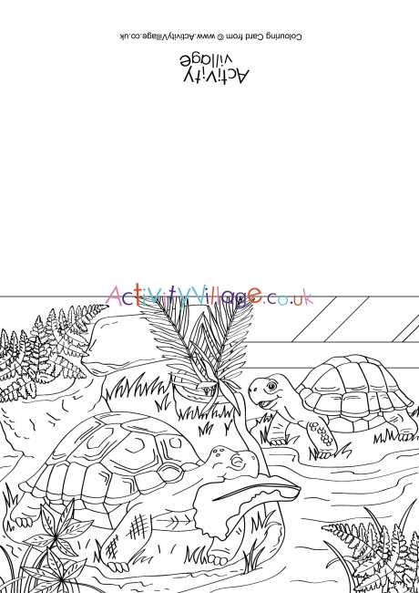 Tortoises Scene Colouring Card