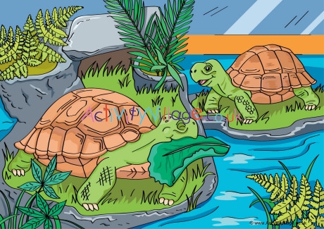 Tortoises Scene Poster