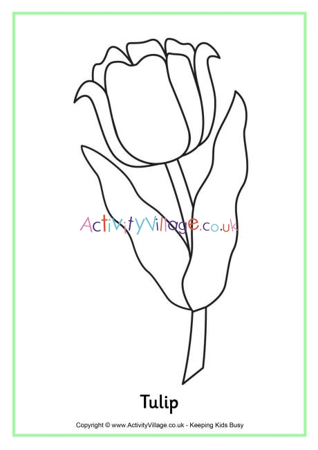 Tulip colouring page