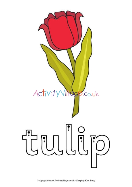 Tulip finger tracing