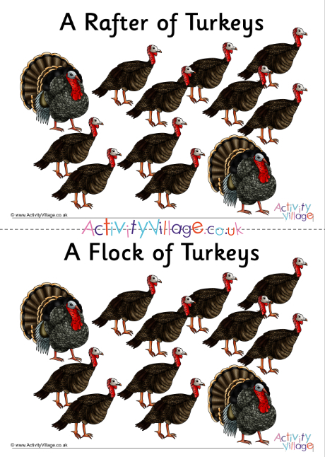 Turkey Collective Noun Posters