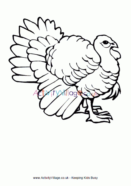 Turkey colouring page 2