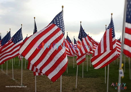 USA Flags Poster