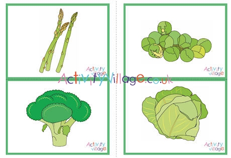 Vegetable Picture Flashcards