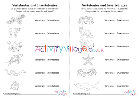 Vertebrates invertebrates worksheet