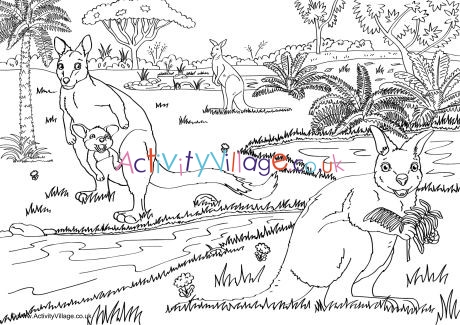 Wallabies Scene Colouring Page