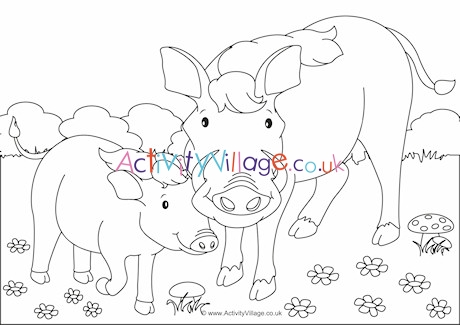 Warthogs Scene Colouring Page