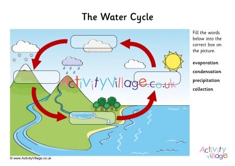 Water Cycle Labelling Worksheet 2