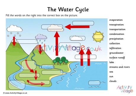 Water Cycle Labelling Worksheet 1