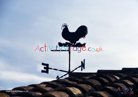 Weather Vane Poster