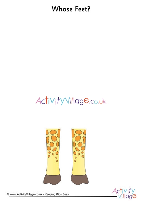 Whose Feet giraffe