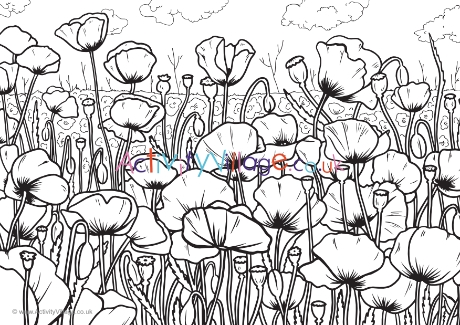 Wild poppies colouring page