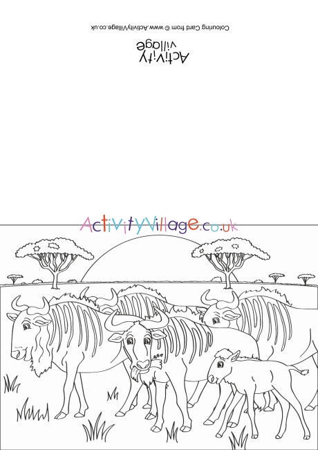 Wildebeest Scene Colouring Card