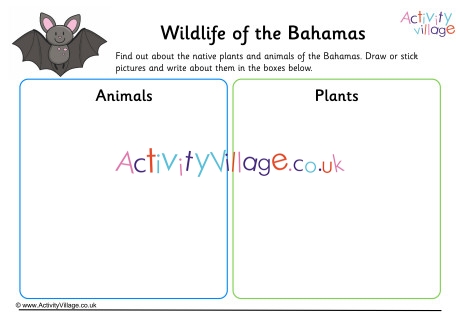 Wildlife of Bahamas Worksheet