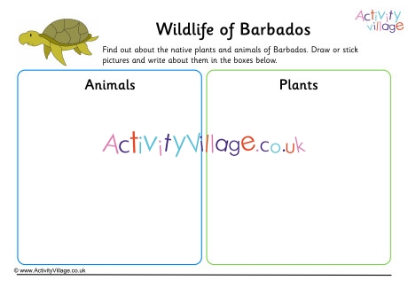 Wildlife Of Barbados Worksheet