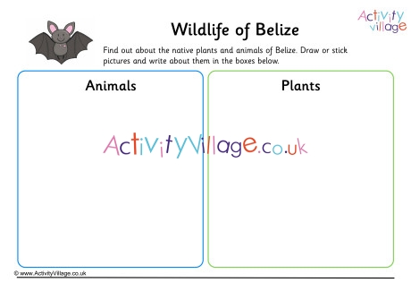 Wildlife Of Belize Worksheet