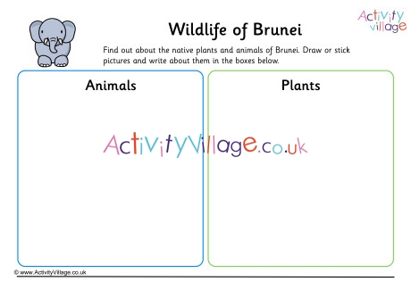 Wildlife Of Brunei Worksheet