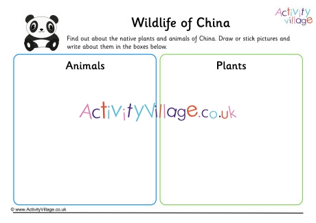 Wildlife Of China Worksheet
