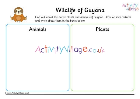 Wildlife Of Guyana Worksheet