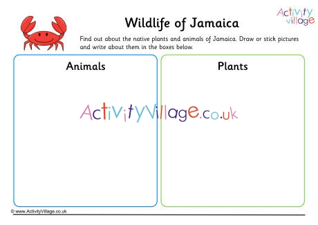 Wildlife Of Jamaica Worksheet