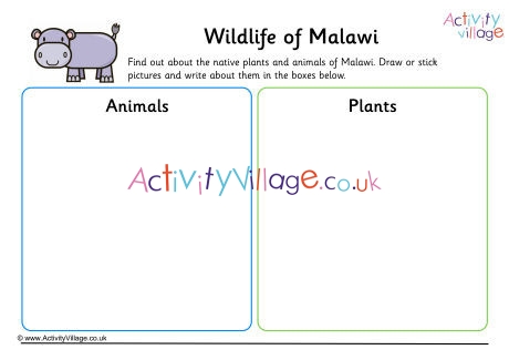 Wildlife Of Malawi Worksheet