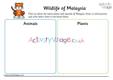 Wildlife Of Malaysia Worksheet