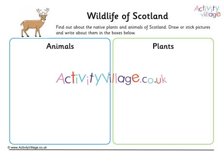 Wildlife Of Scotland Worksheet
