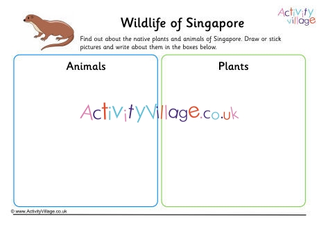 Wildlife Of Singapore Worksheet