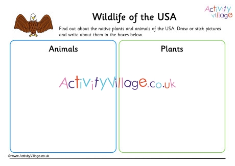 Wildlife Of USA Worksheet