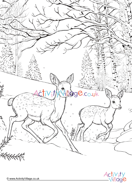 Winter deer colouring page 1