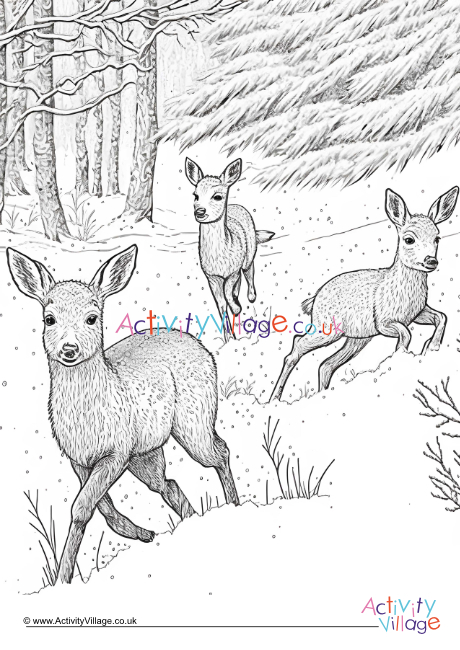 Winter deer colouring page 2