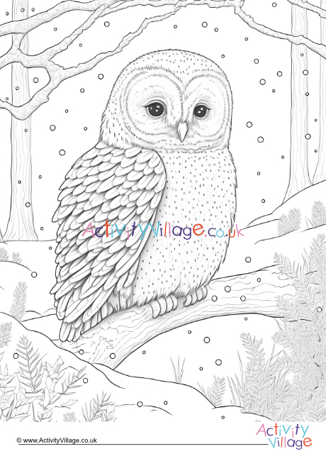 Winter owl colouring page 1