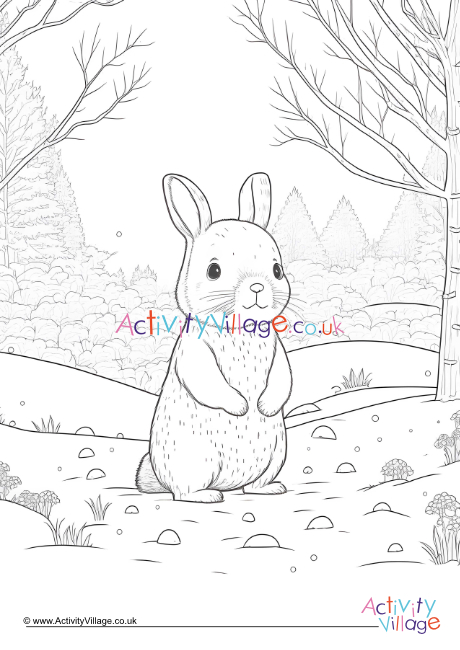 Winter rabbit colouring page 2