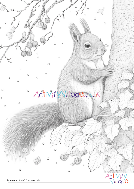 Winter squirrel colouring page 1