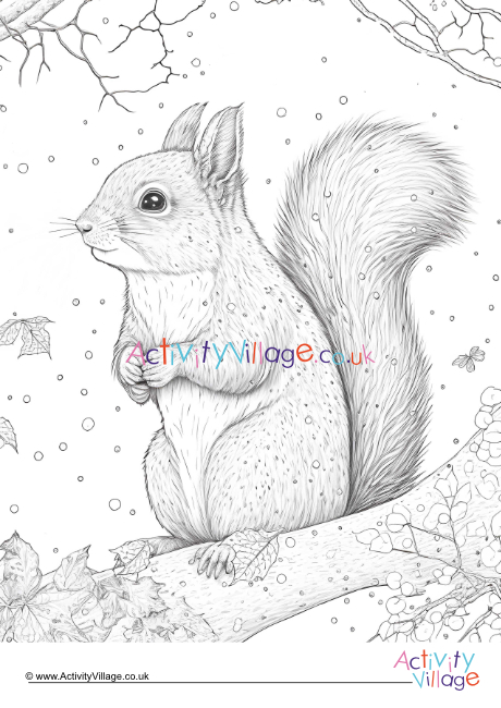 Winter squirrel colouring page 2