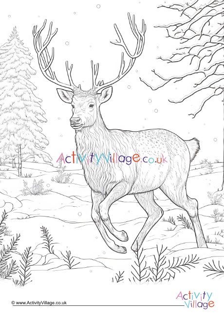 Winter stag colouring page