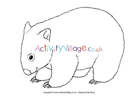 Wombat colouring page