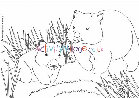 Wombat scene colouring page