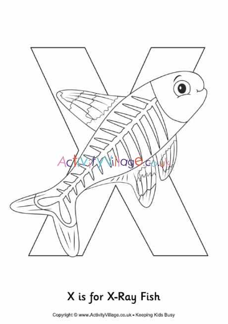 X is for xray fish colouring page