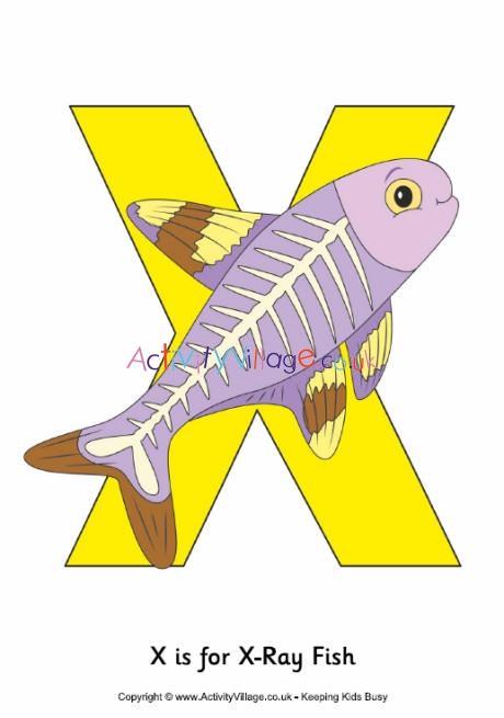 X is for xray fish poster