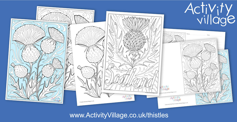 Colour in a Thistle ... or Two! Colour in a Thistle ... or Two!