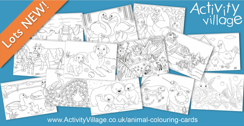 Topping Up Our Collection of Animal Colouring Cards Topping Up Our Collection of Animal Colouring Cards