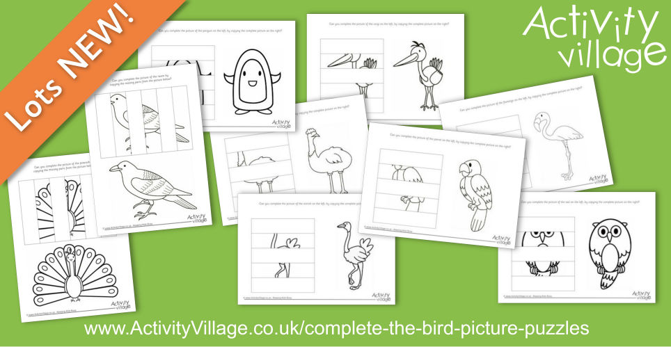 Topping Up Our Complete the Bird Picture Puzzles