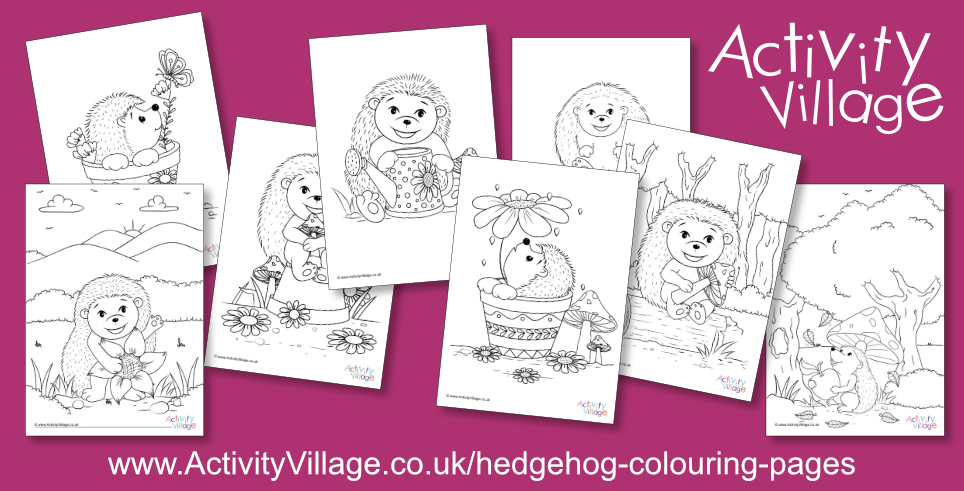 Topping Up Our Hedgehog Colouring Pages Topping Up Our Hedgehog Colouring Pages