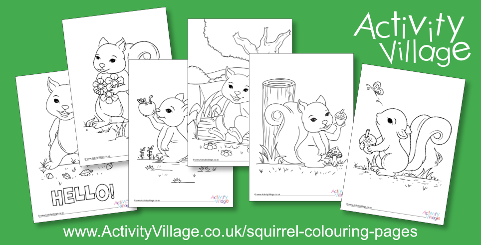 Topping Up Our Squirrel Colouring Pages!