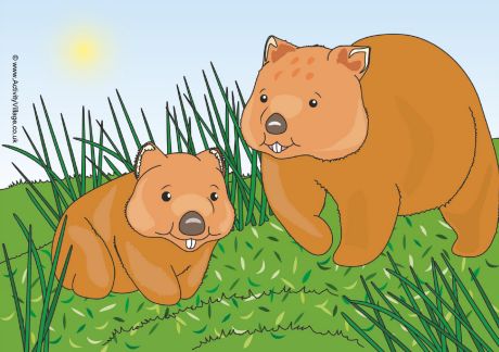 Wombats! Wombats!
